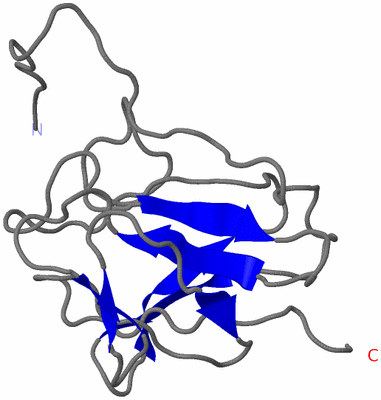 Image NMR Structure - model 1