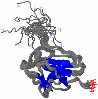 Image NMR Structure - all models