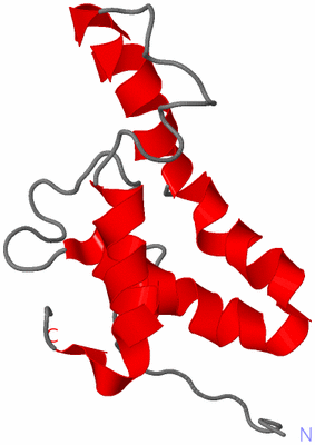 Image NMR Structure - model 1