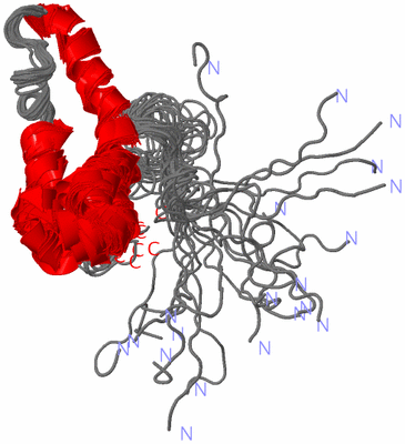 Image NMR Structure - all models