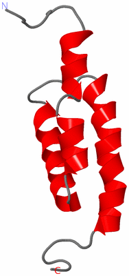 Image NMR Structure - model 1