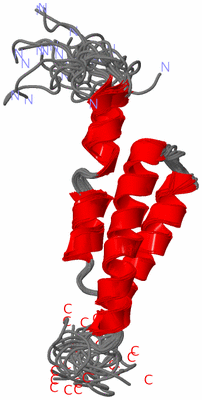 Image NMR Structure - all models