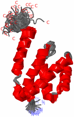 Image NMR Structure - all models