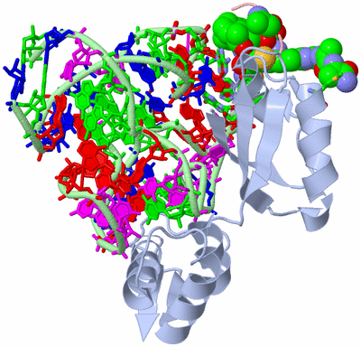 Image NMR Structure - model 1, sites