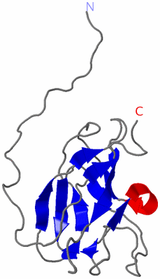 Image NMR Structure - model 1