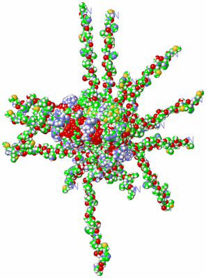 Image NMR Structure - all models