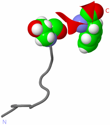 Image NMR Structure - model 1