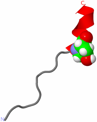 Image NMR Structure - model 1