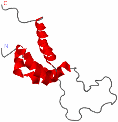 Image NMR Structure - model 1