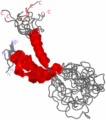 Image NMR Structure - all models