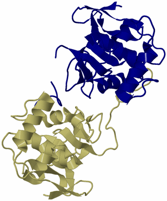 Image NMR Structure - model 1