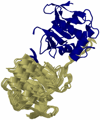 Image NMR Structure - all models