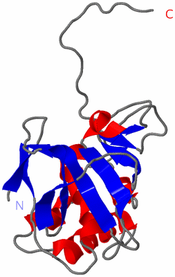 Image NMR Structure - model 1