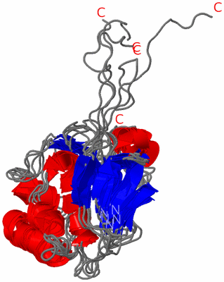 Image NMR Structure - all models