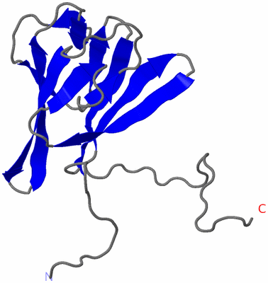 Image NMR Structure - model 1