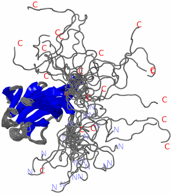 Image NMR Structure - all models