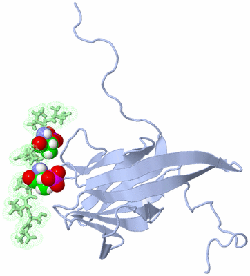 Image NMR Structure - model 1