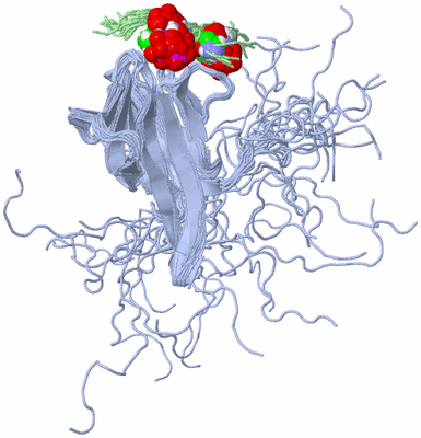 Image NMR Structure - all models