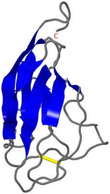 Image NMR Structure - model 1