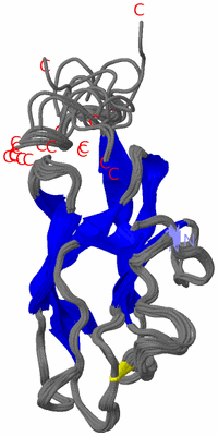 Image NMR Structure - all models