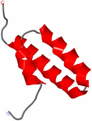 Image NMR Structure - model 1