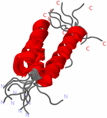 Image NMR Structure - all models