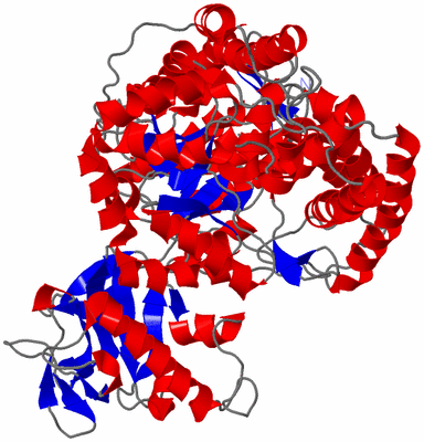 Image NMR Structure - model 1