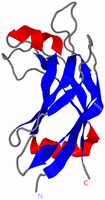 Image NMR Structure - model 1