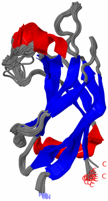 Image NMR Structure - all models