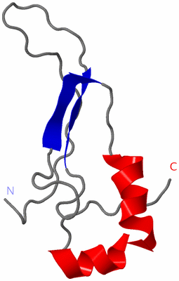 Image NMR Structure - model 1