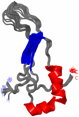 Image NMR Structure - all models