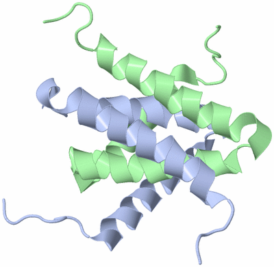 Image NMR Structure - model 1