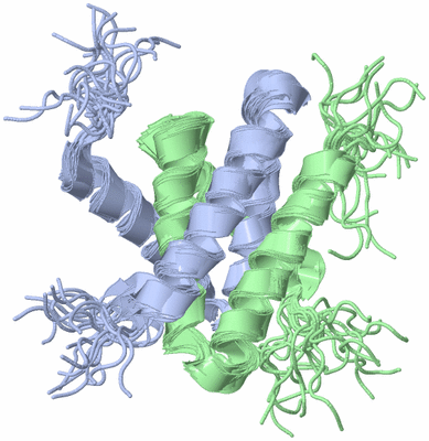 Image NMR Structure - all models