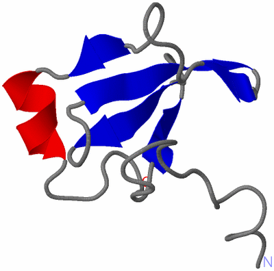 Image NMR Structure - model 1