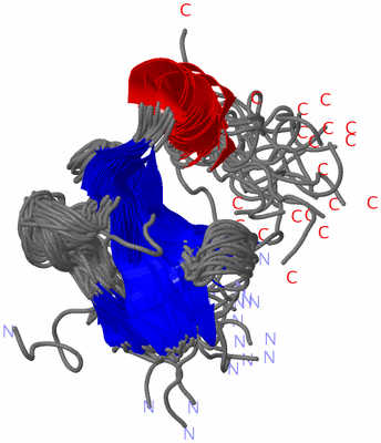 Image NMR Structure - all models