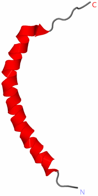 Image NMR Structure - model 1