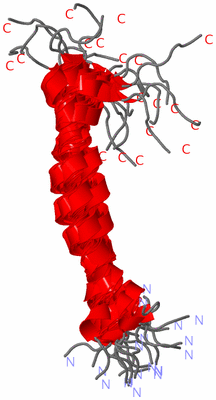 Image NMR Structure - all models