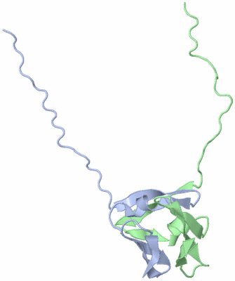 Image NMR Structure - model 1