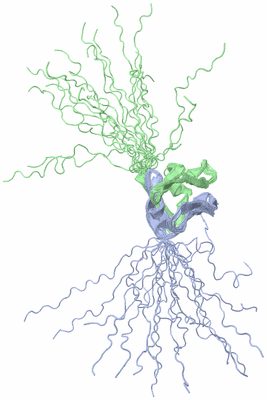 Image NMR Structure - all models