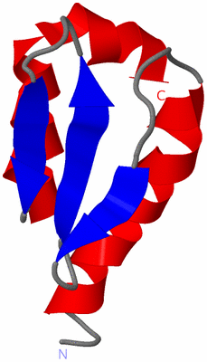 Image NMR Structure - model 1