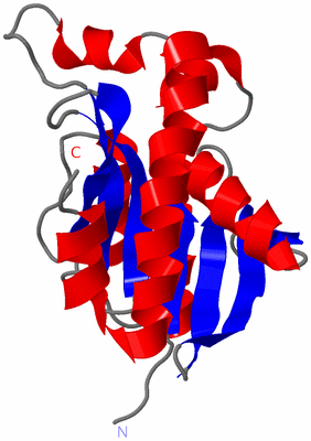 Image NMR Structure - model 1