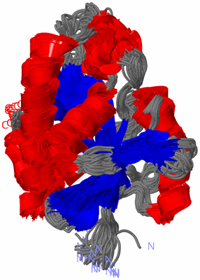 Image NMR Structure - all models