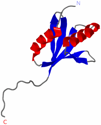 Image NMR Structure - model 1