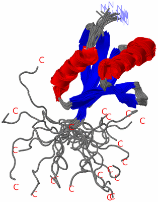 Image NMR Structure - all models