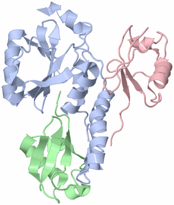 Image NMR Structure - model 1