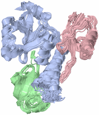 Image NMR Structure - all models