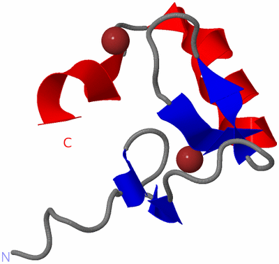 Image NMR Structure - model 1