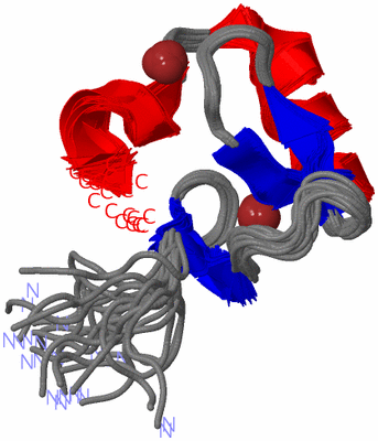 Image NMR Structure - all models