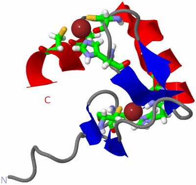 Image NMR Structure - model 1, sites