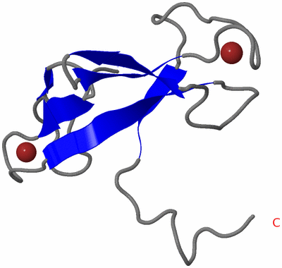 Image NMR Structure - model 1
